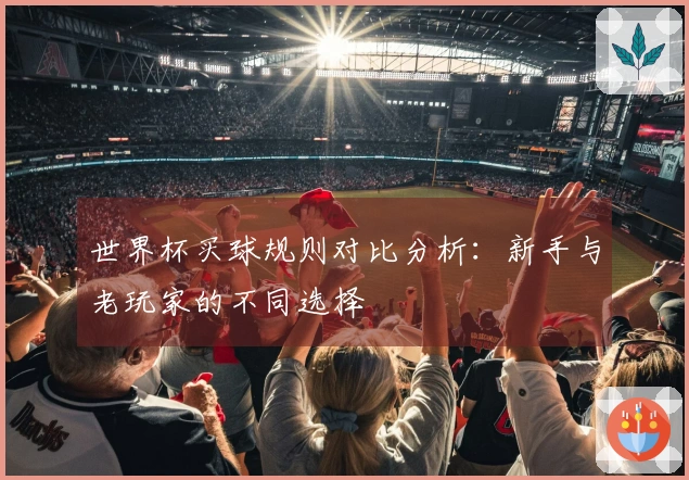 世界杯买球规则对比分析：新手与老玩家的不同选择