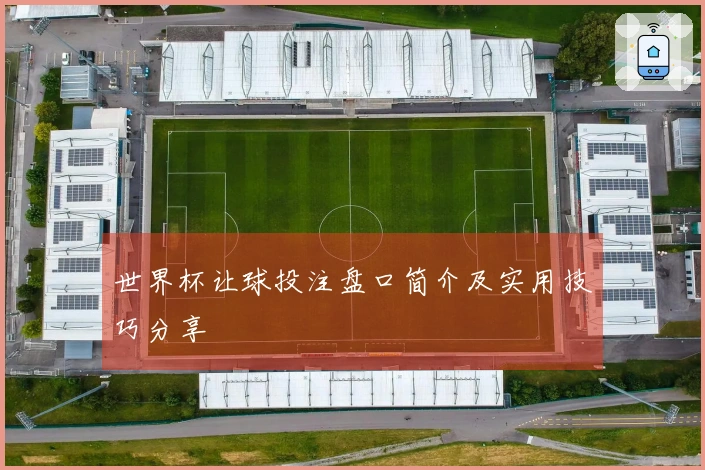 世界杯让球投注盘口简介及实用技巧分享
