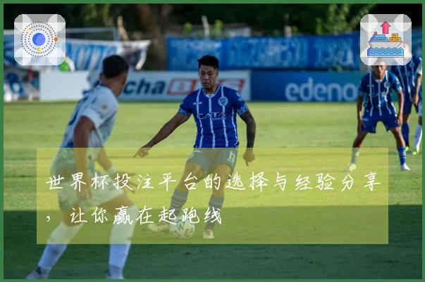 世界杯投注平台的选择与经验分享，让你赢在起跑线