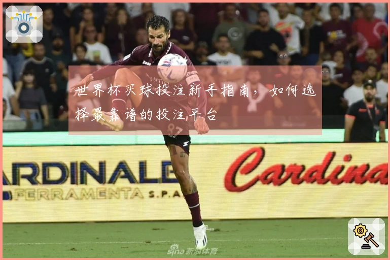 世界杯买球投注新手指南，如何选择最靠谱的投注平台