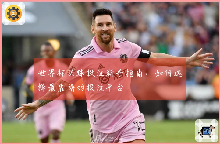 世界杯买球投注新手指南，如何选择最靠谱的投注平台