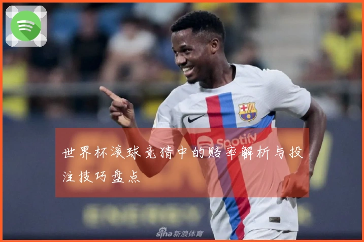 世界杯滚球竞猜中的赔率解析与投注技巧盘点