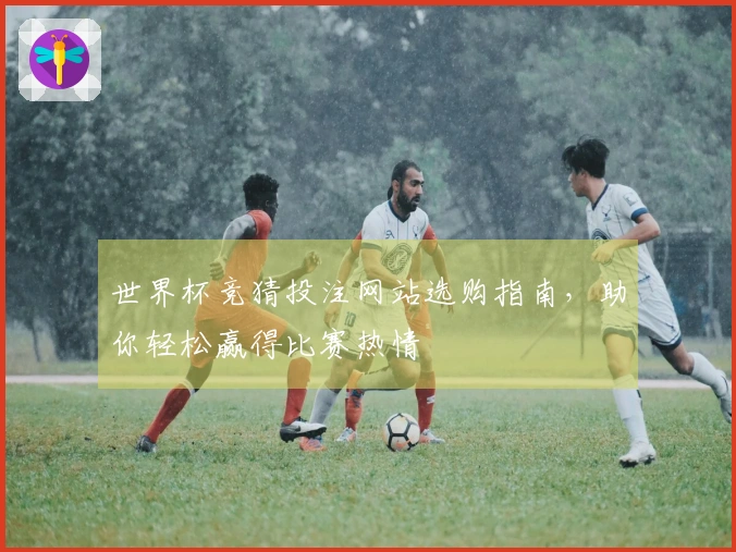 世界杯竞猜投注网站选购指南，助你轻松赢得比赛热情